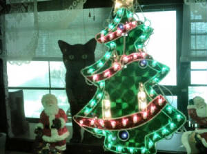 familybootyxmastree.jpg