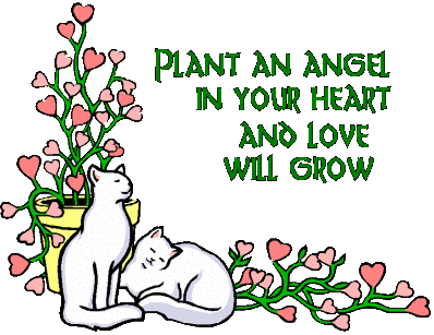 love1cats.gif
